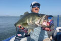 MISSILE BAITS